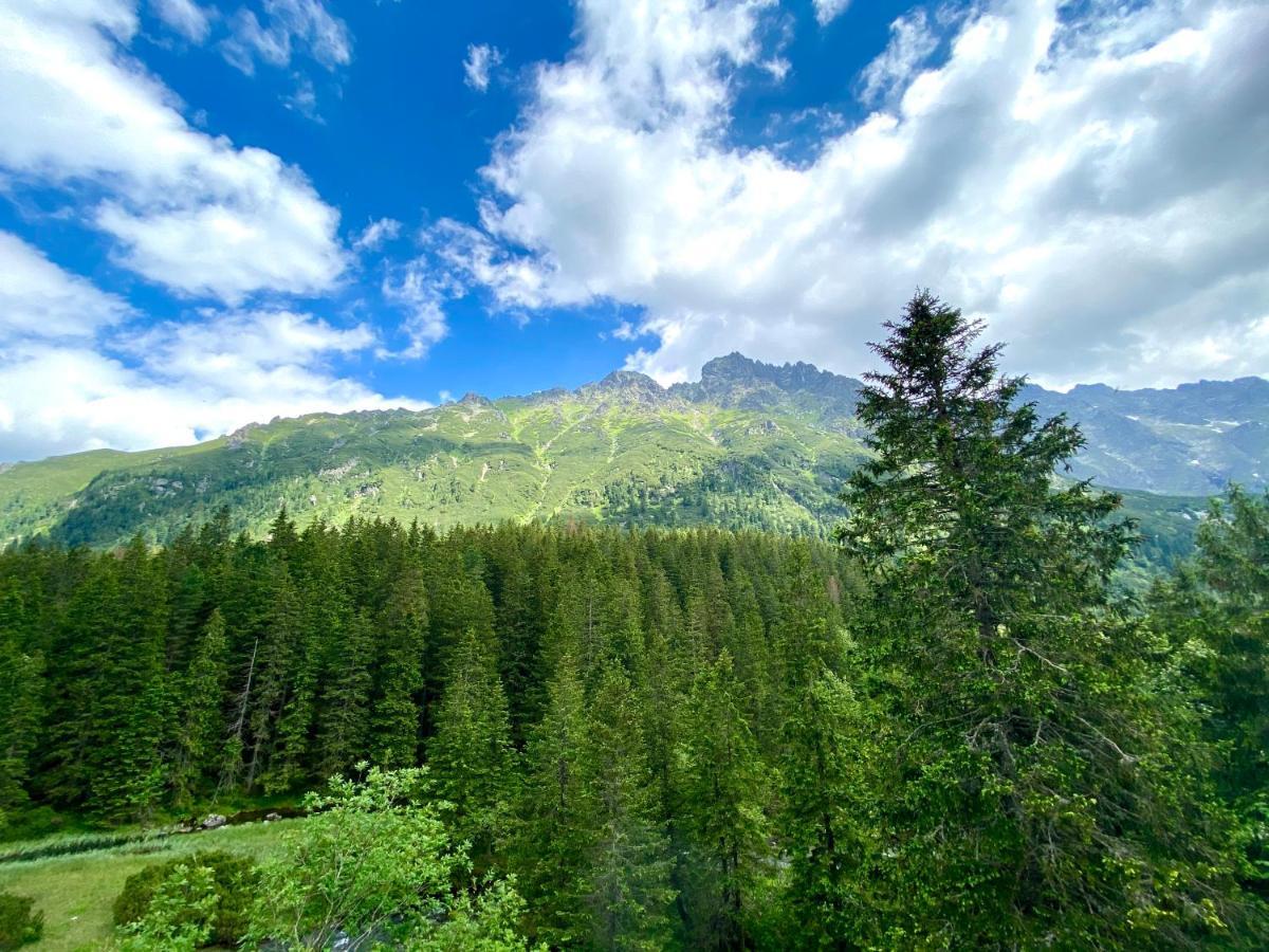 Chalet Vika I Wataha - Swietna Lokalizacja W Centrum Zakopanego - 10min Pieszo Do Krupowek! Zakopane